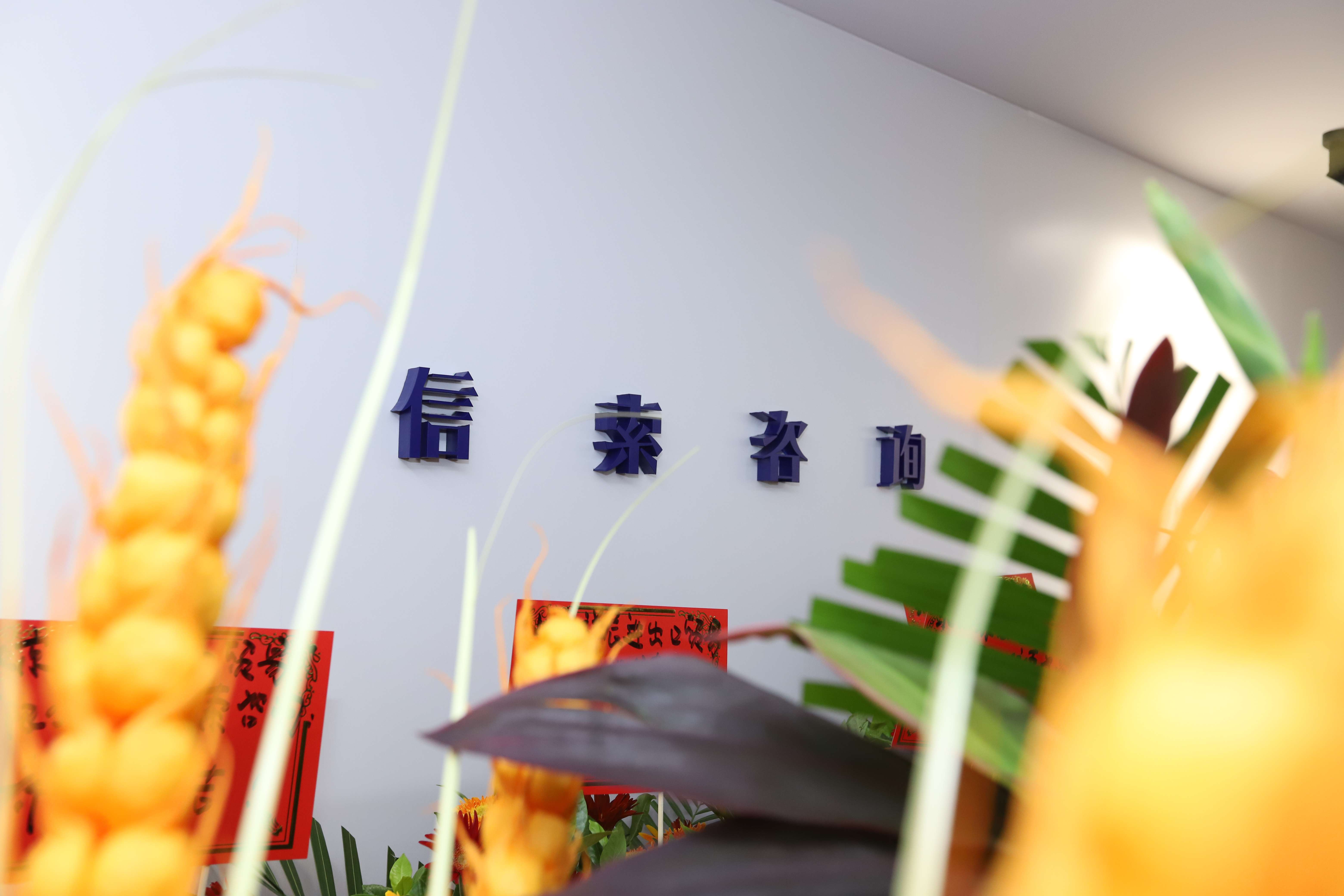 不朽情缘(中国游)最新官网入口